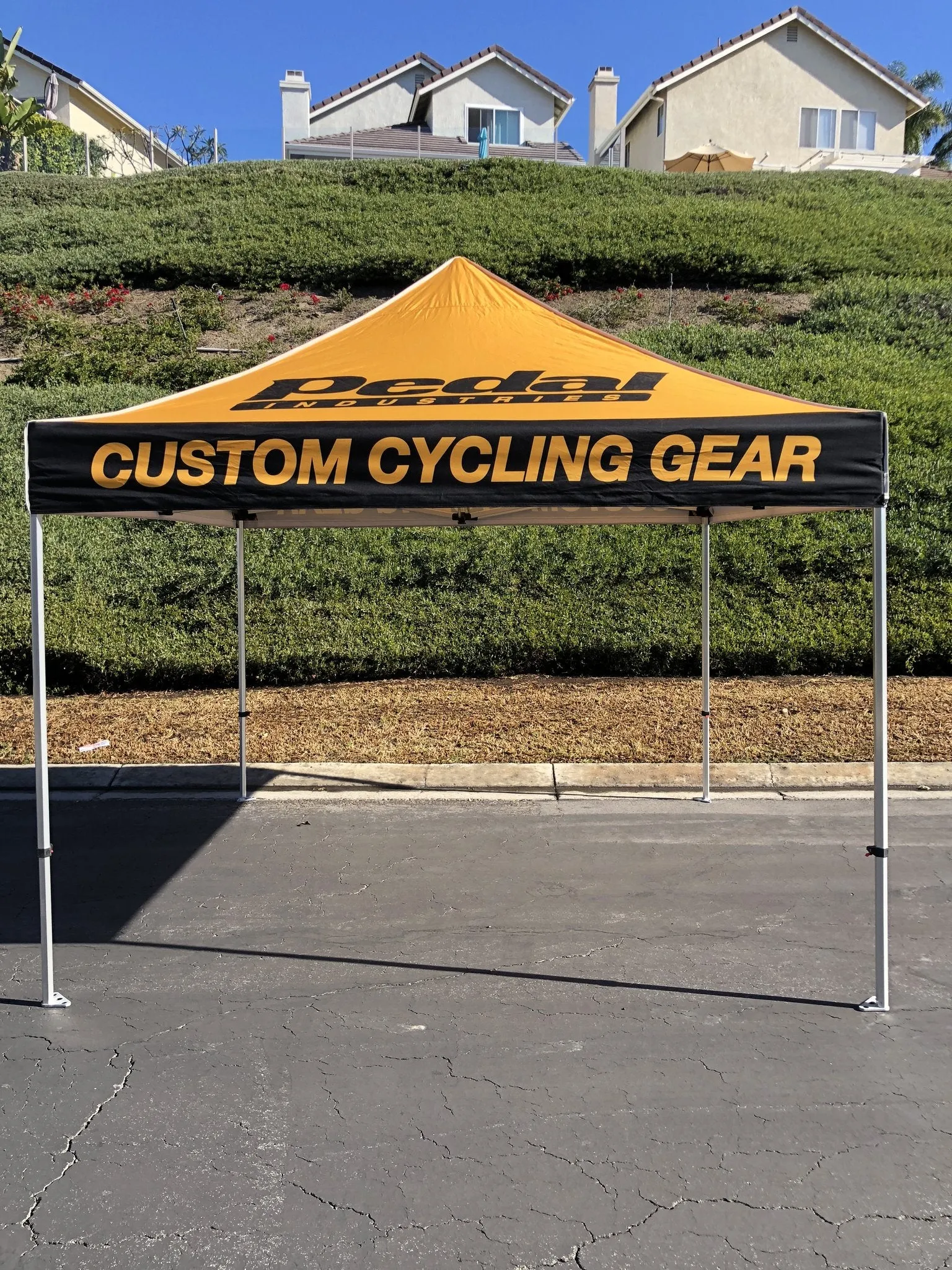 Apex Cycling 2024 CANOPY