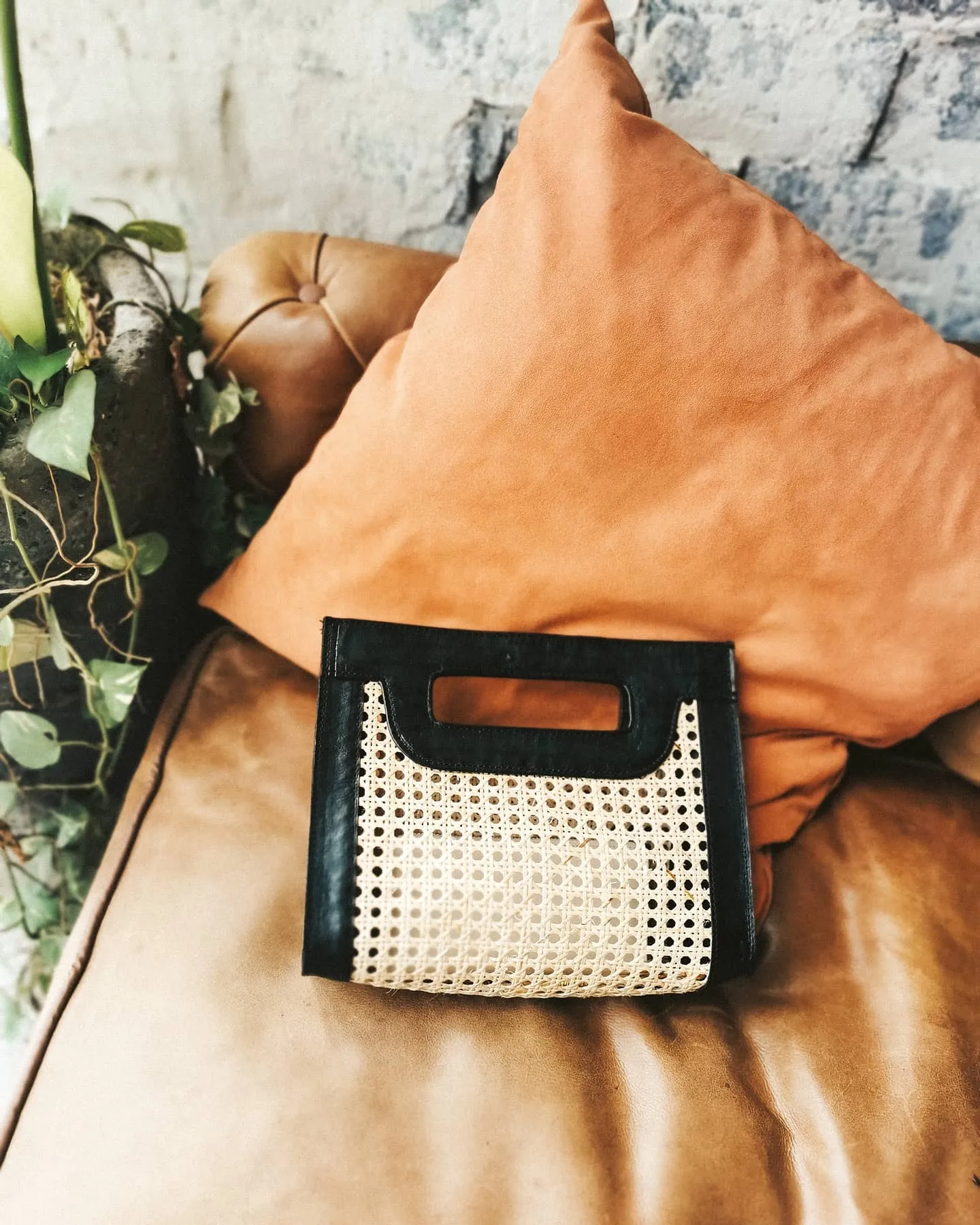 Helena Cane Webbing Leather Clutch